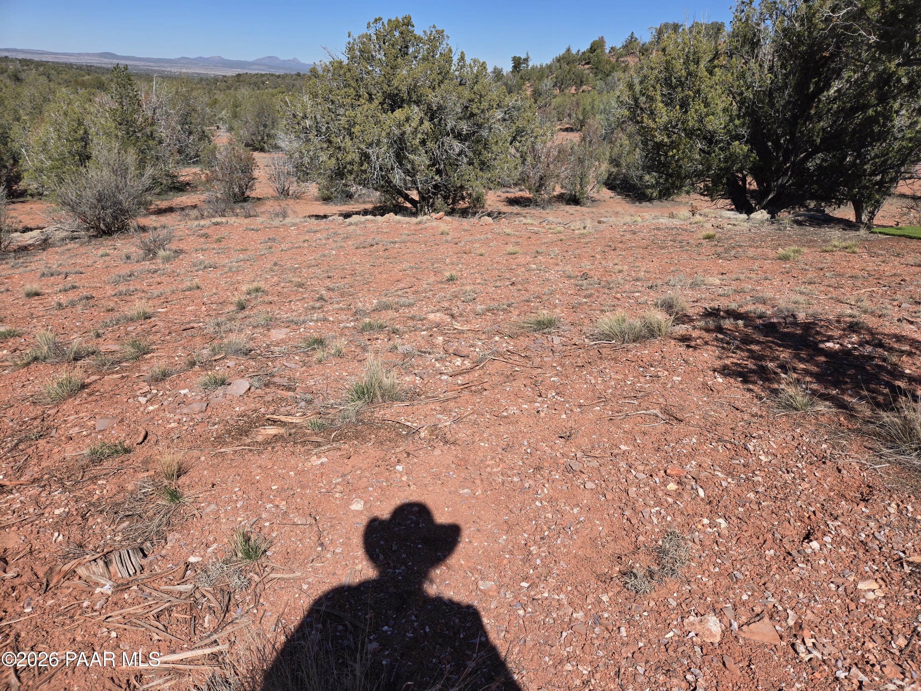 390 Haywire Road Ash Fork, AZ 86320 - Photo 11 of 12 20260301_114812