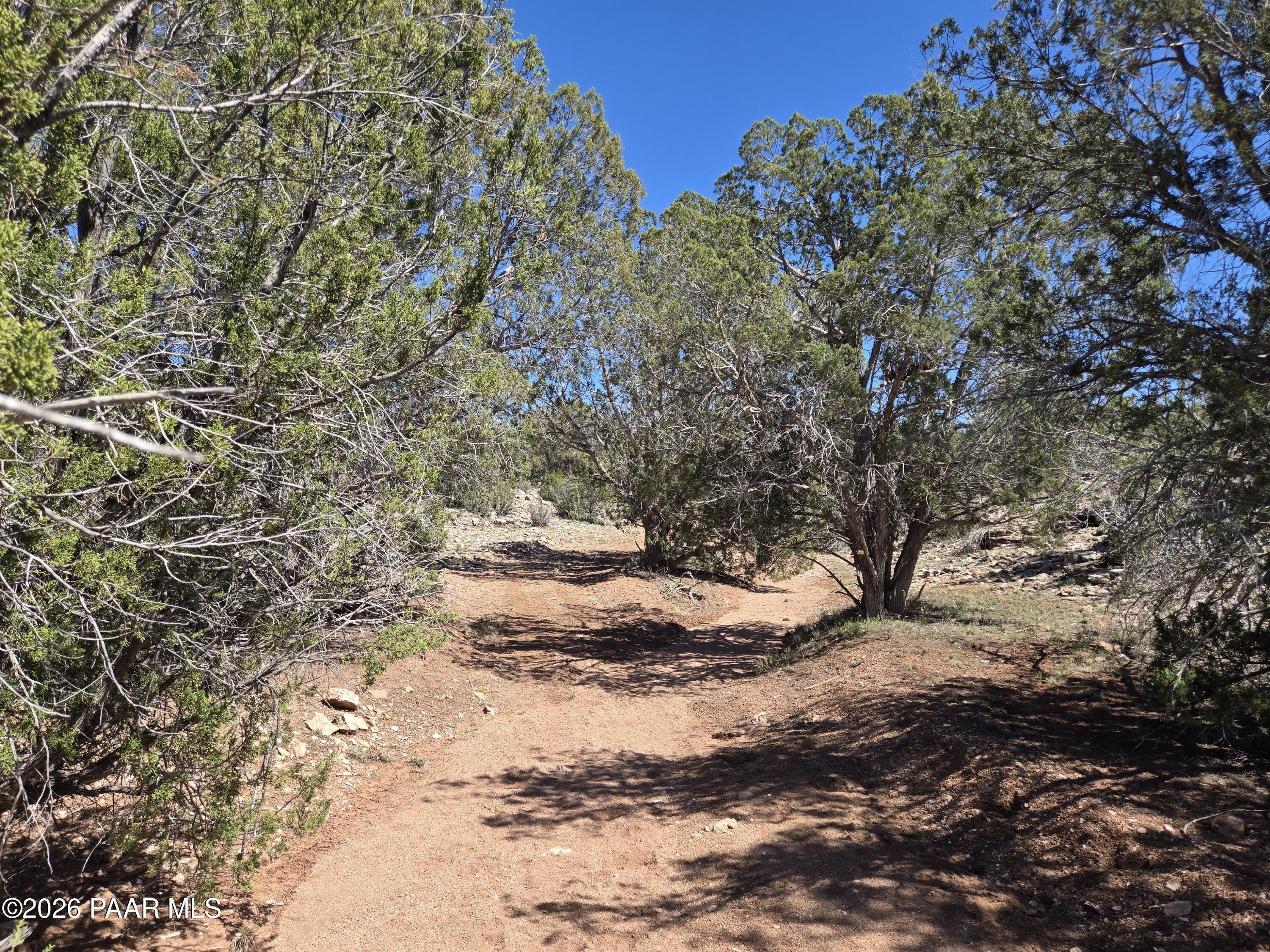 390 Haywire Road Ash Fork, AZ 86320 - Photo 3 of 12 20260323_123617
