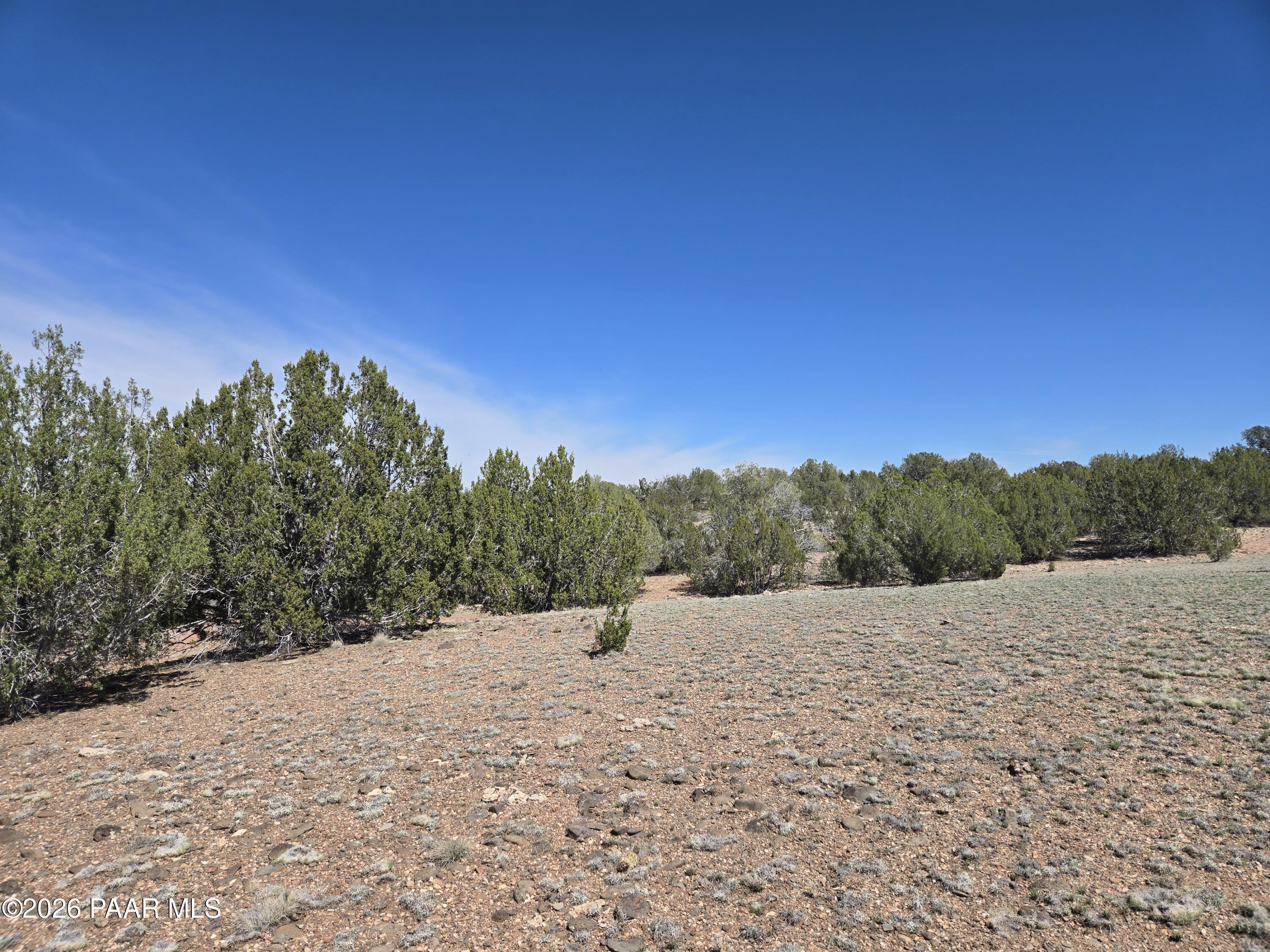 390 Haywire Road Ash Fork, AZ 86320 - Photo 6 of 12 20260323_123110