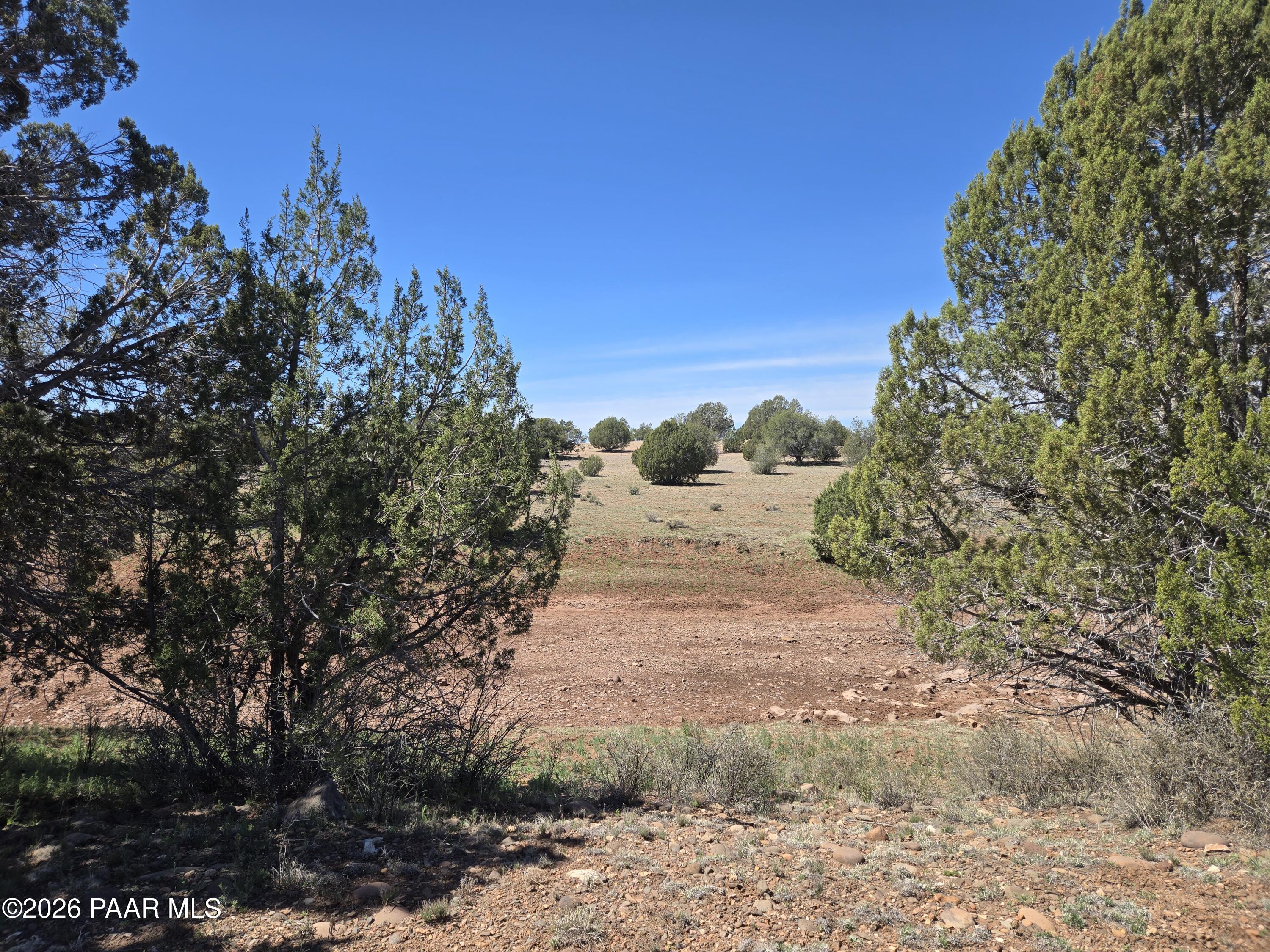 390 Haywire Road Ash Fork, AZ 86320 - Photo 10 of 12 20260323_122634