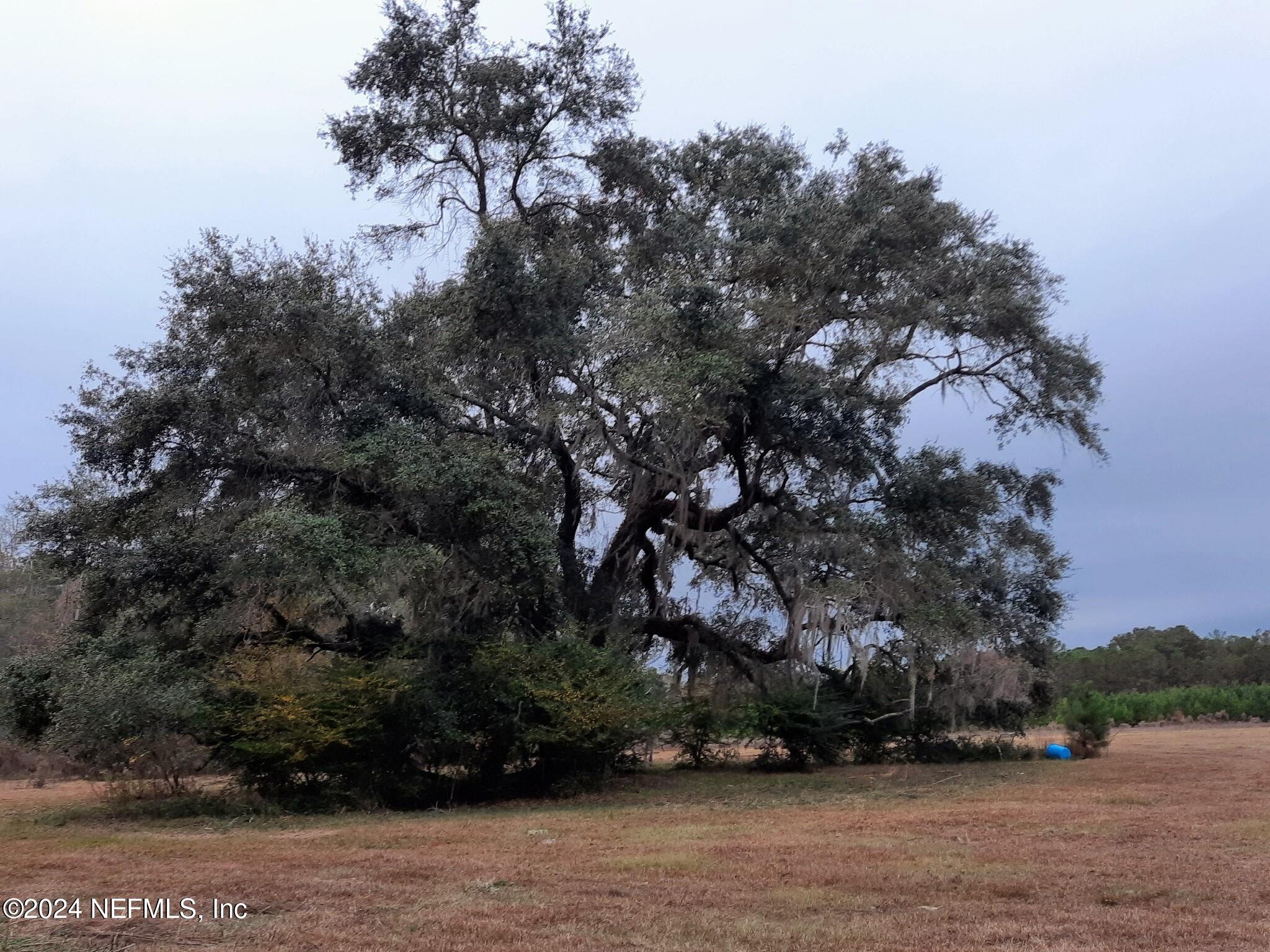 0 Miccosukee Road Tallahassee, FL 32309 - Photo 3 of 15 a view of house with outdoor space