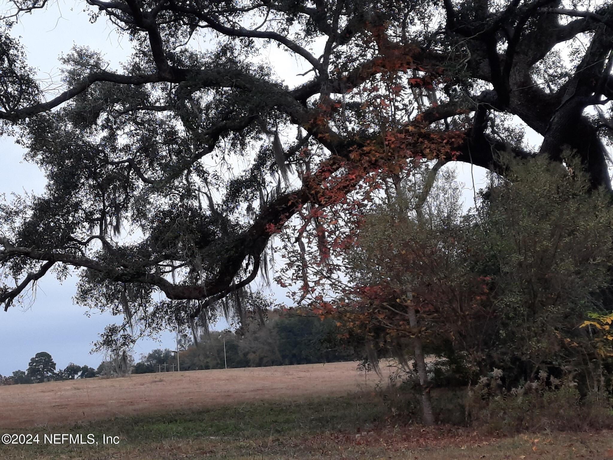 0 Miccosukee Road Tallahassee, FL 32309 - Photo 4 of 15