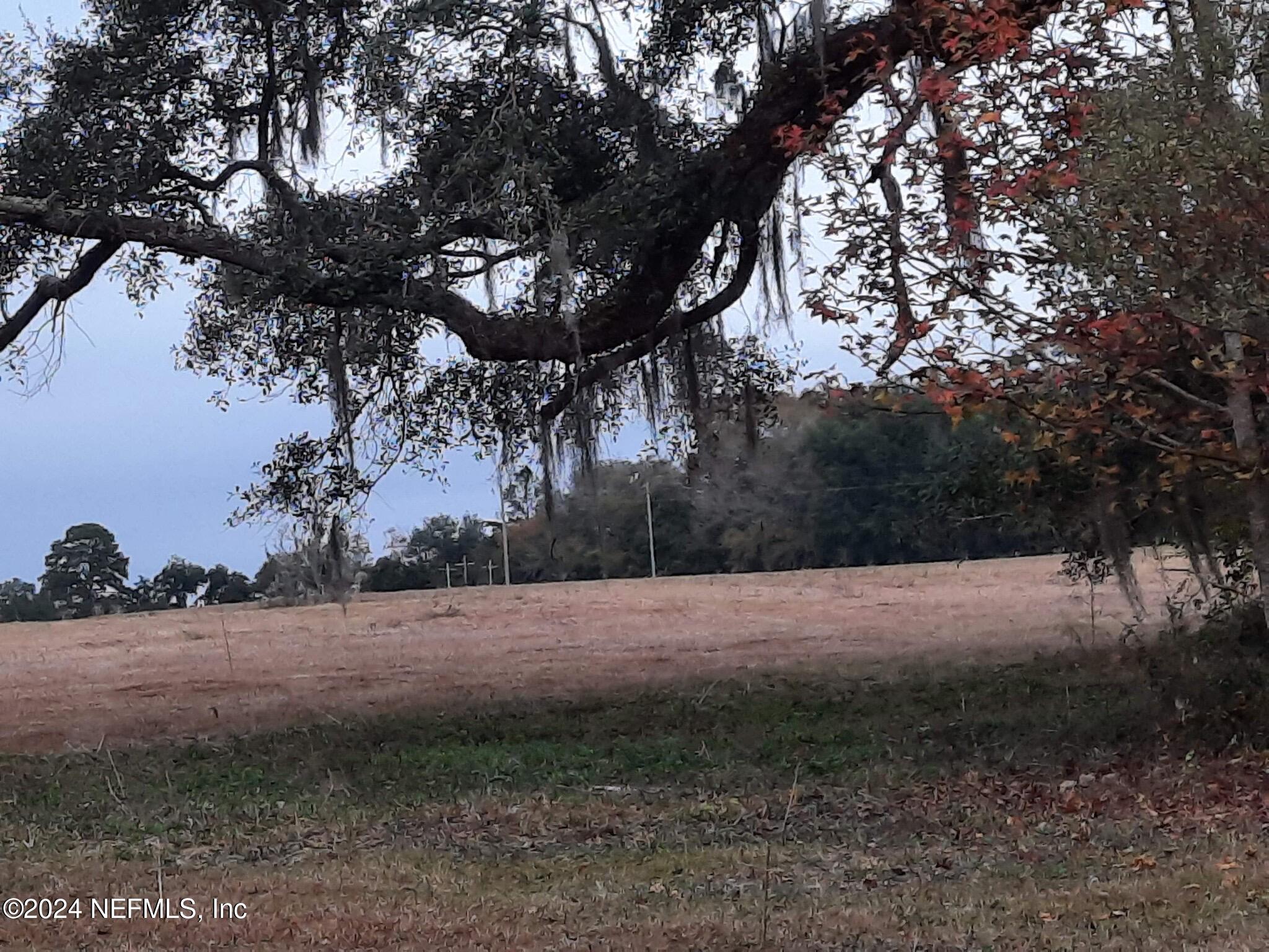 0 Miccosukee Road Tallahassee, FL 32309 - Photo 7 of 15 a big yard with lots of green space