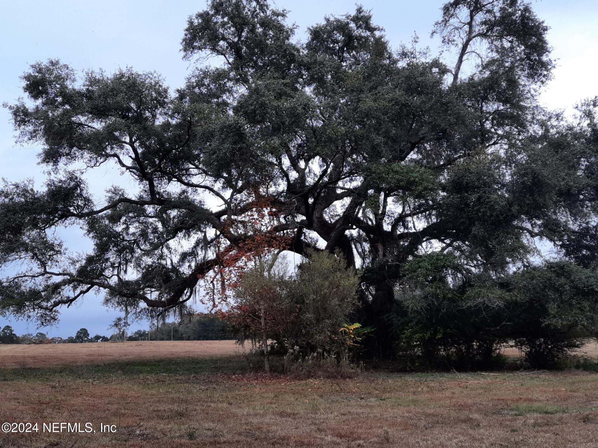 0 Miccosukee Road Tallahassee, FL 32309 - Photo 8 of 15 a view of outdoor space