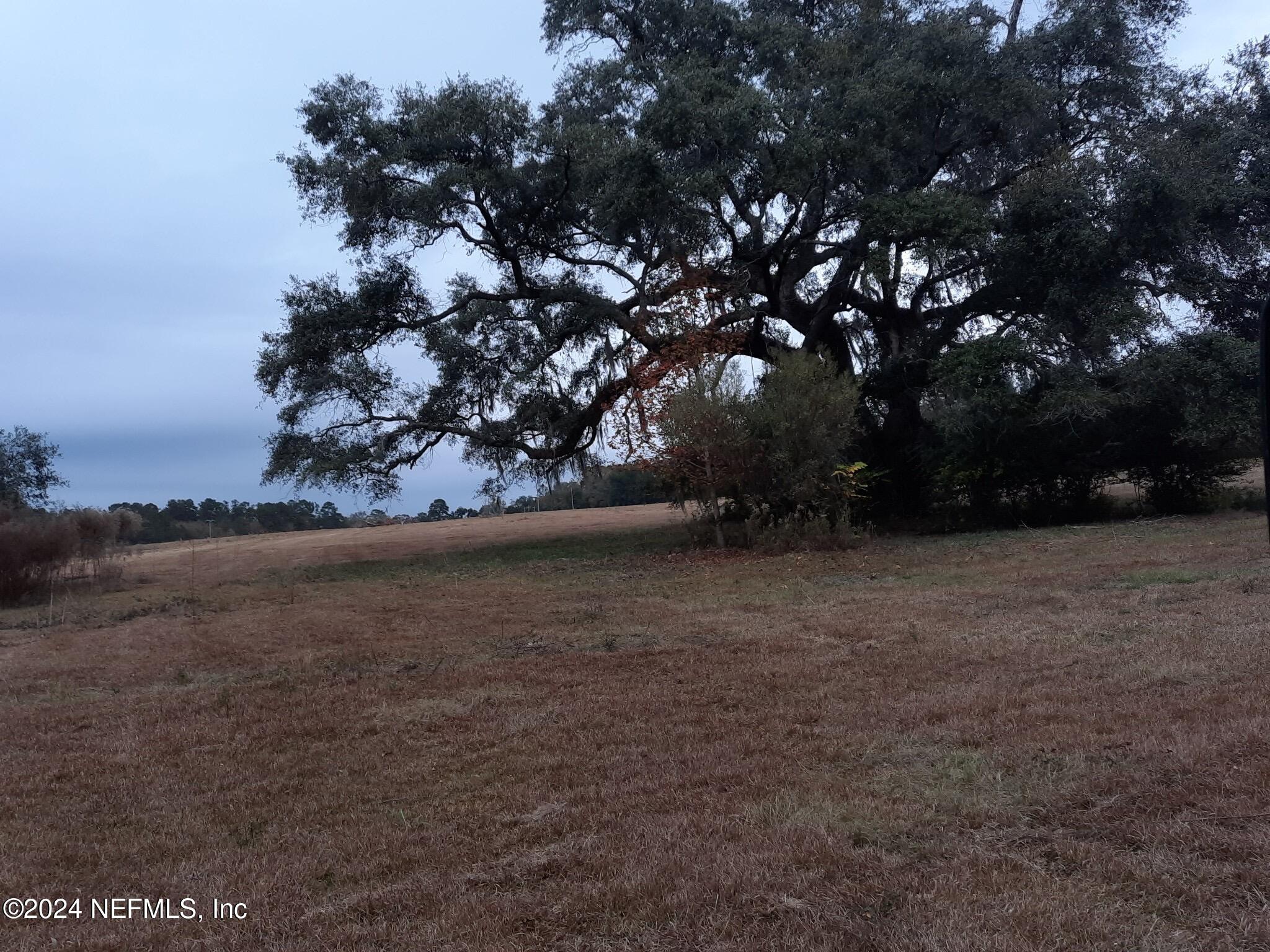 0 Miccosukee Road Tallahassee, FL 32309 - Photo 9 of 15 a view of outdoor space and yard