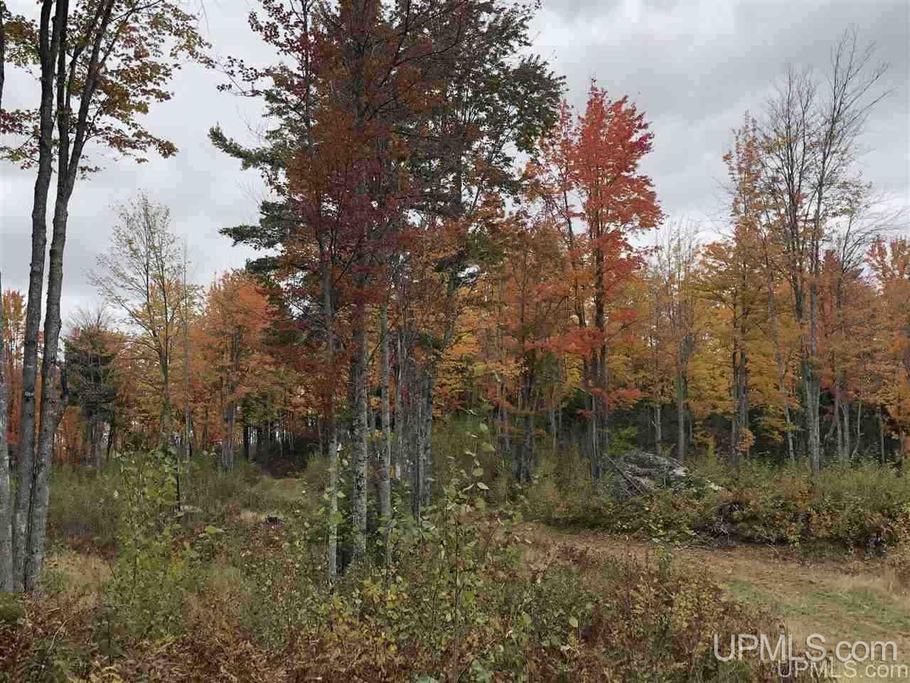 Tbd Off Woods Road Negaunee, MI 49849 - Photo 9 of 15