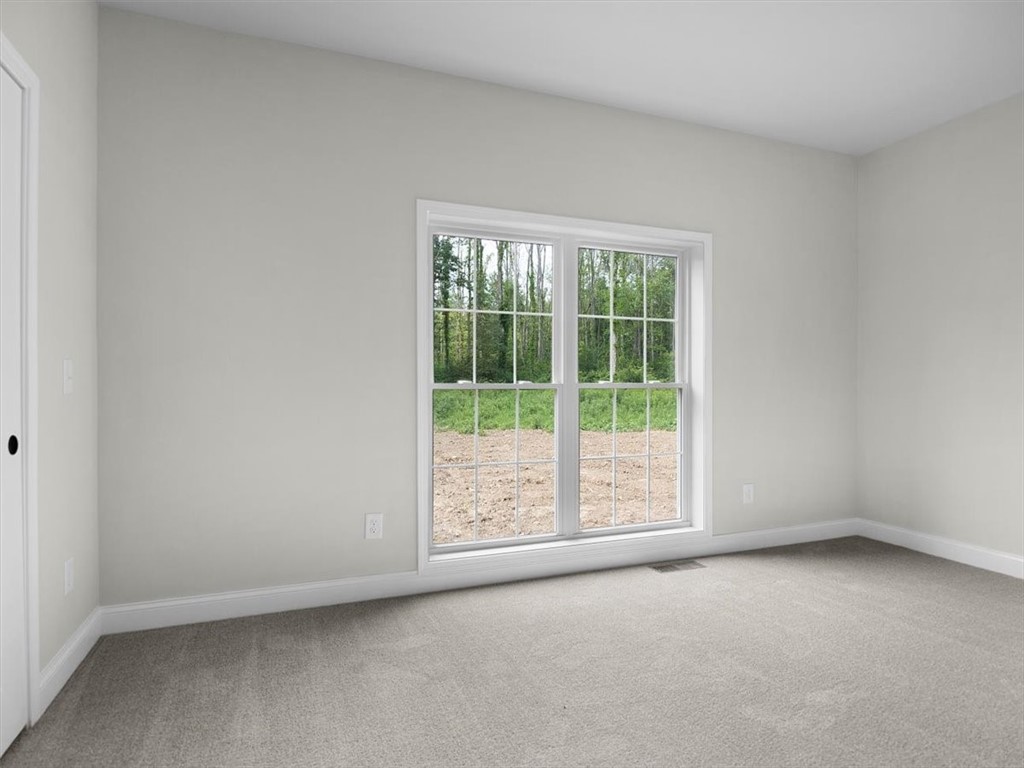 4793 Congdon Road Williamson, NY 14589 - Photo 45 of 50 Gallery Image 45