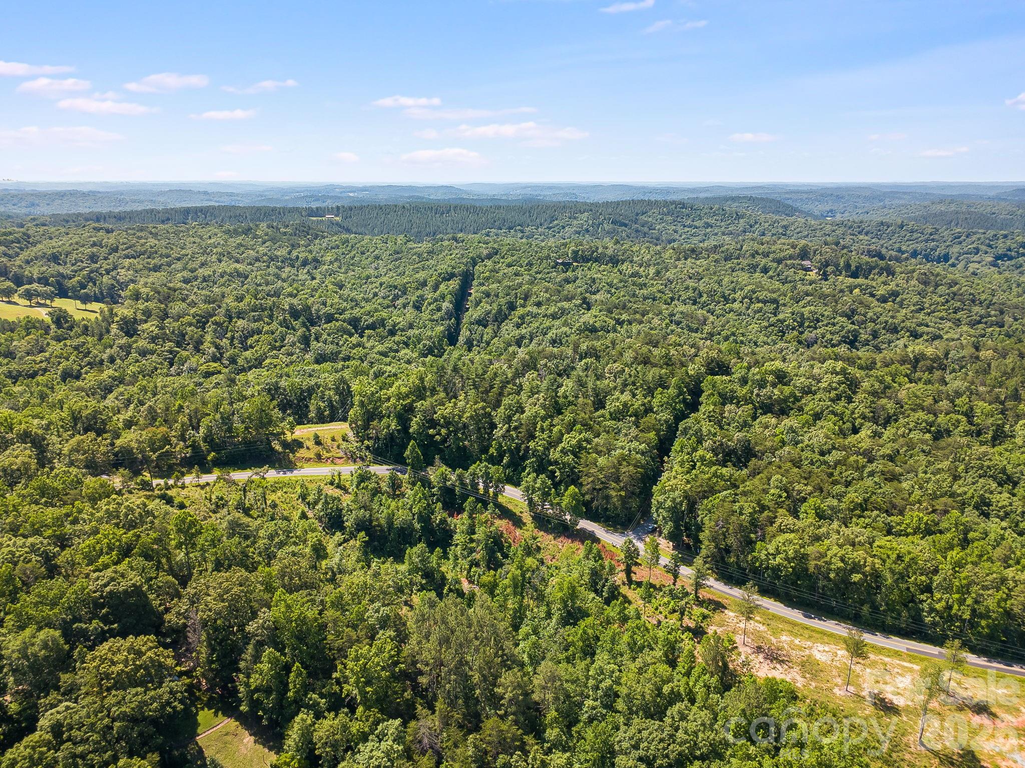 Lot #2 Clark Road Rutherfordton, NC 28139 - Photo 25 of 36