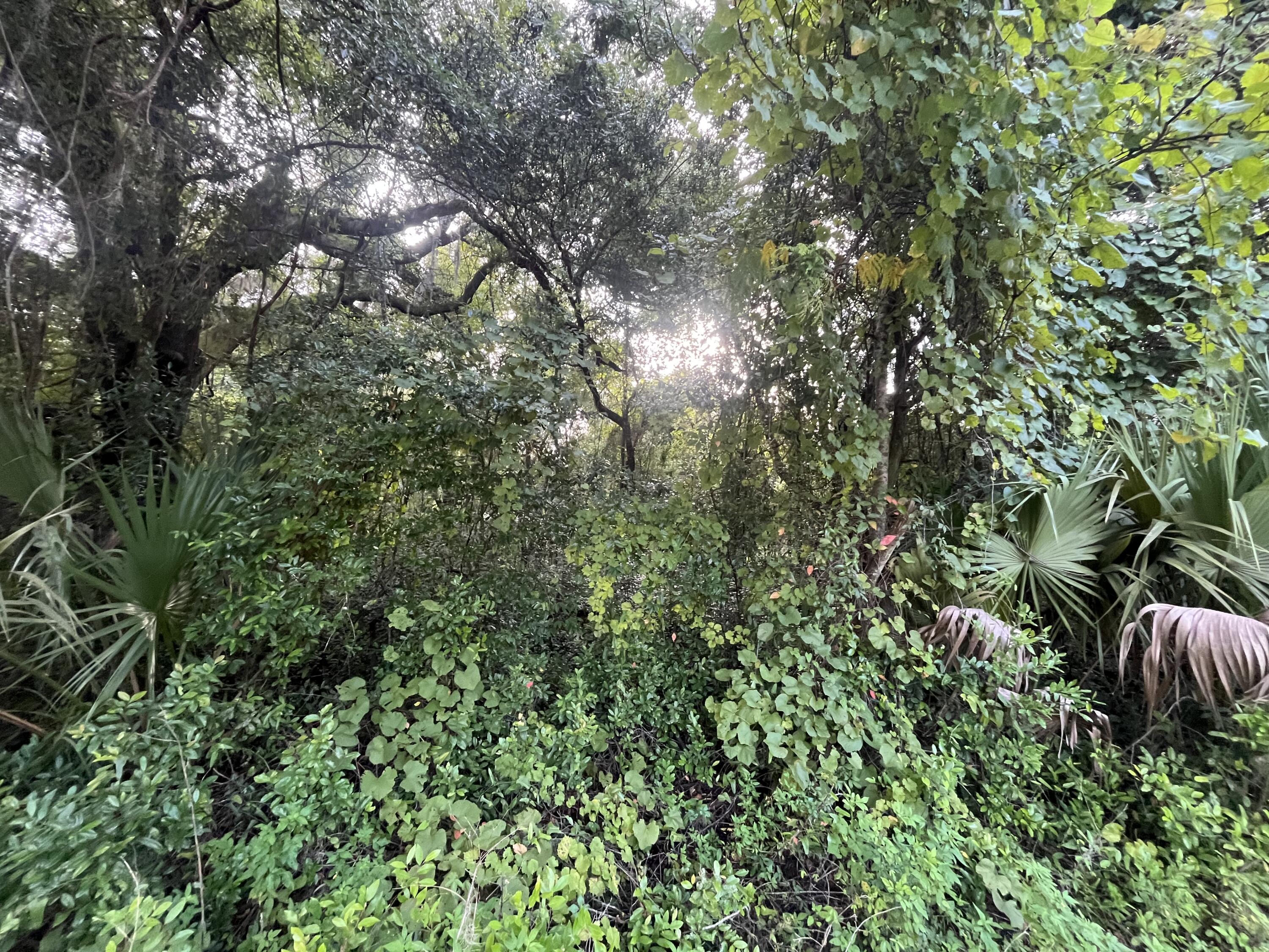 a backyard of a house with lots of green space and two chairs