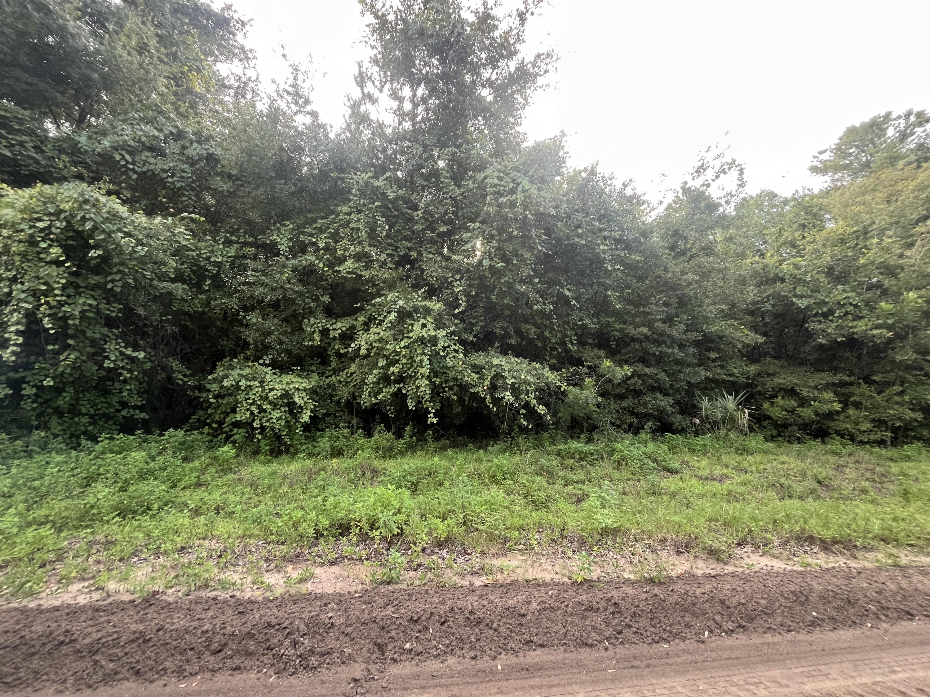 915 Annette Avenue Interlachen, FL 32148 - Photo 11 of 12 a view of a garden