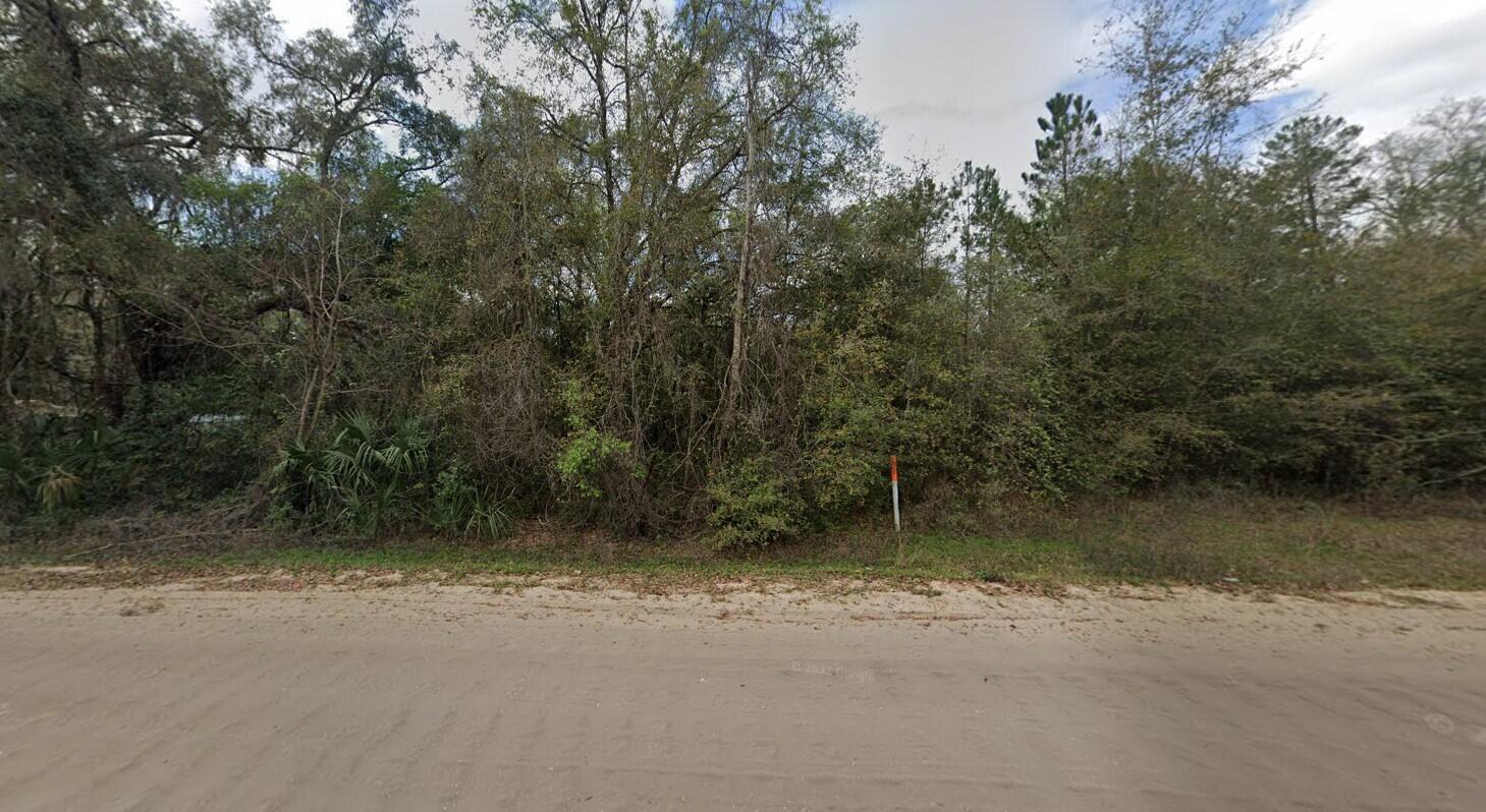 915 Annette Avenue Interlachen, FL 32148 - Photo 3 of 12 a view of a yard with a tree