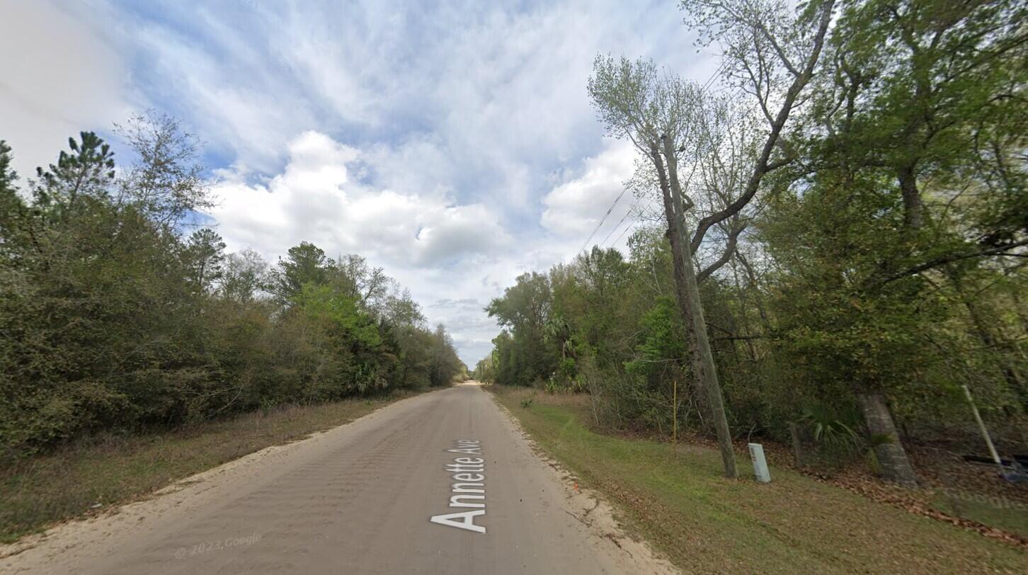 915 Annette Avenue Interlachen, FL 32148 - Photo 4 of 12 a view of a street with trees in the background