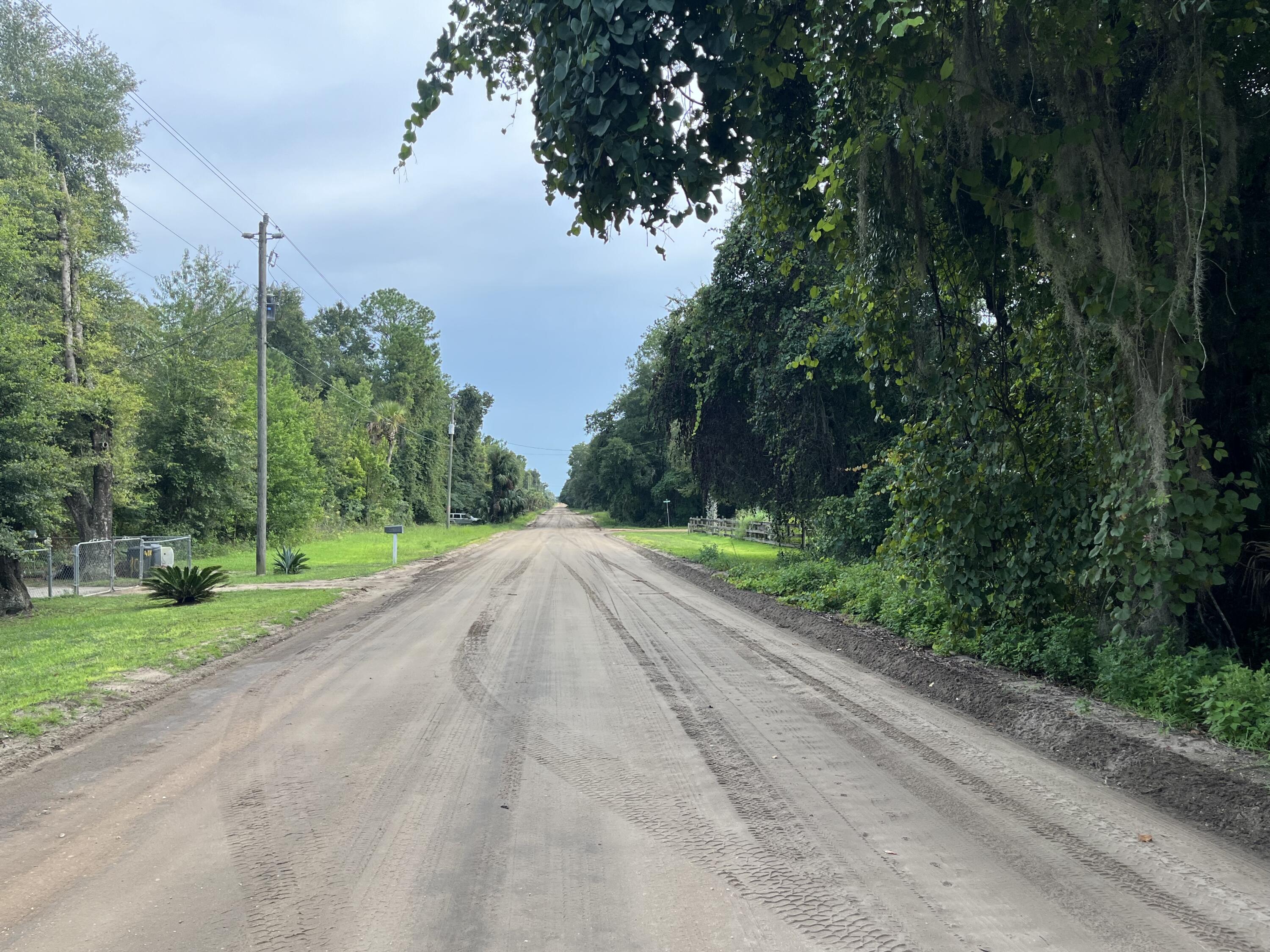 915 Annette Avenue Interlachen, FL 32148 - Photo 9 of 12 a view of a road with a yard and large trees