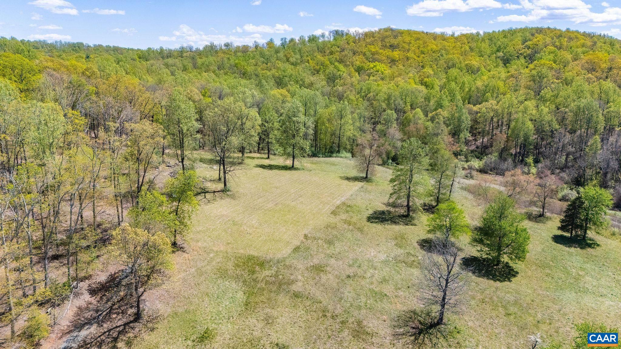 0 Bloomfield Road Charlottesville, VA 22903 - Photo 13 of 16 a view of an outdoor space and a yard