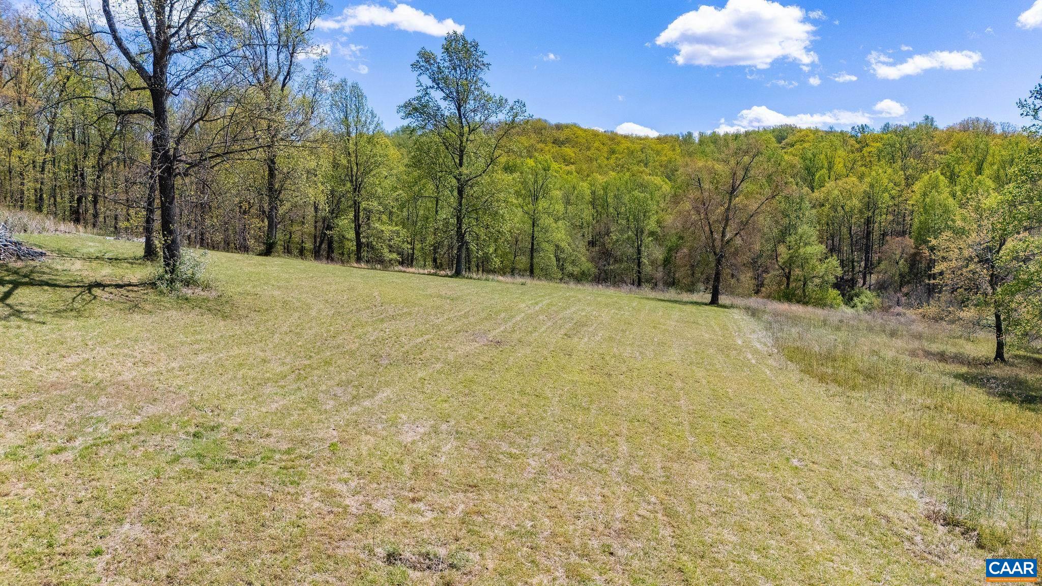 0 Bloomfield Road Charlottesville, VA 22903 - Photo 10 of 16 a view of a yard with mountain