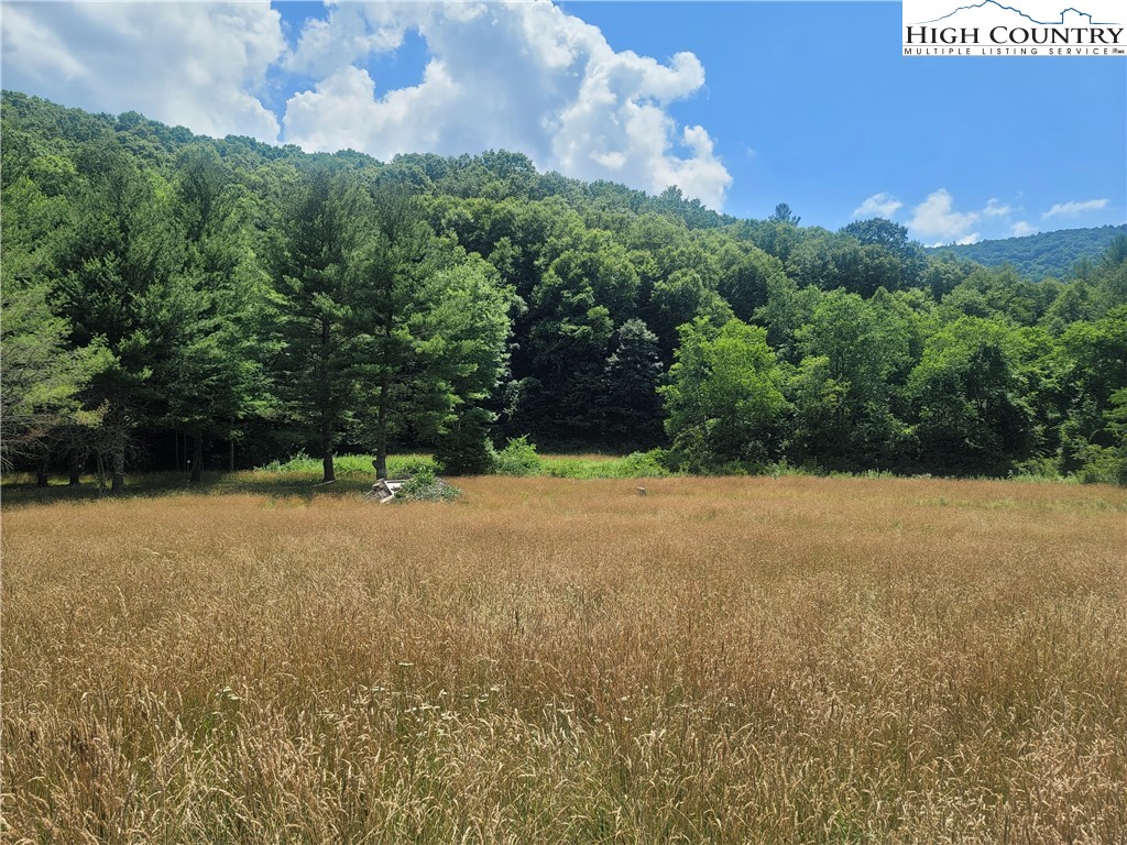 Nettle Knob Road West Jefferson, NC 28694 - Photo 1 of 15 Gallery Image 1