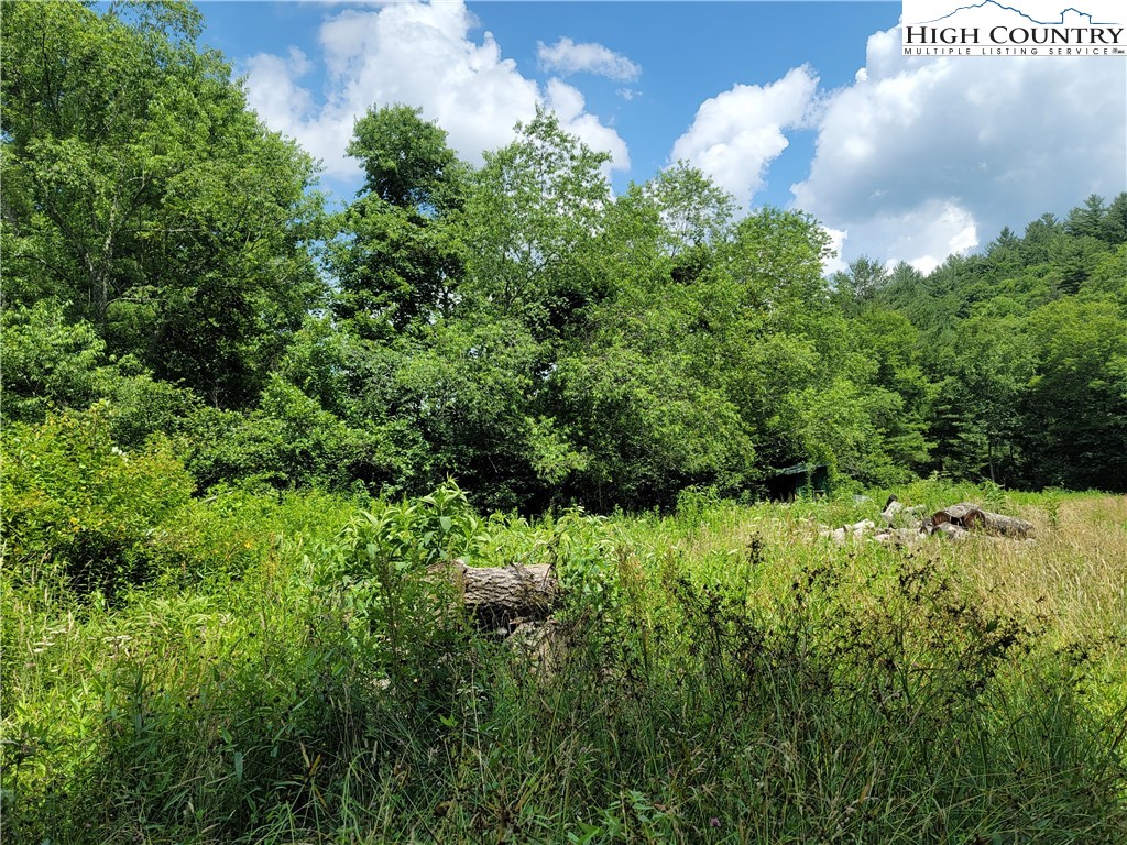 Nettle Knob Road West Jefferson, NC 28694 - Photo 11 of 15 Gallery Image 11