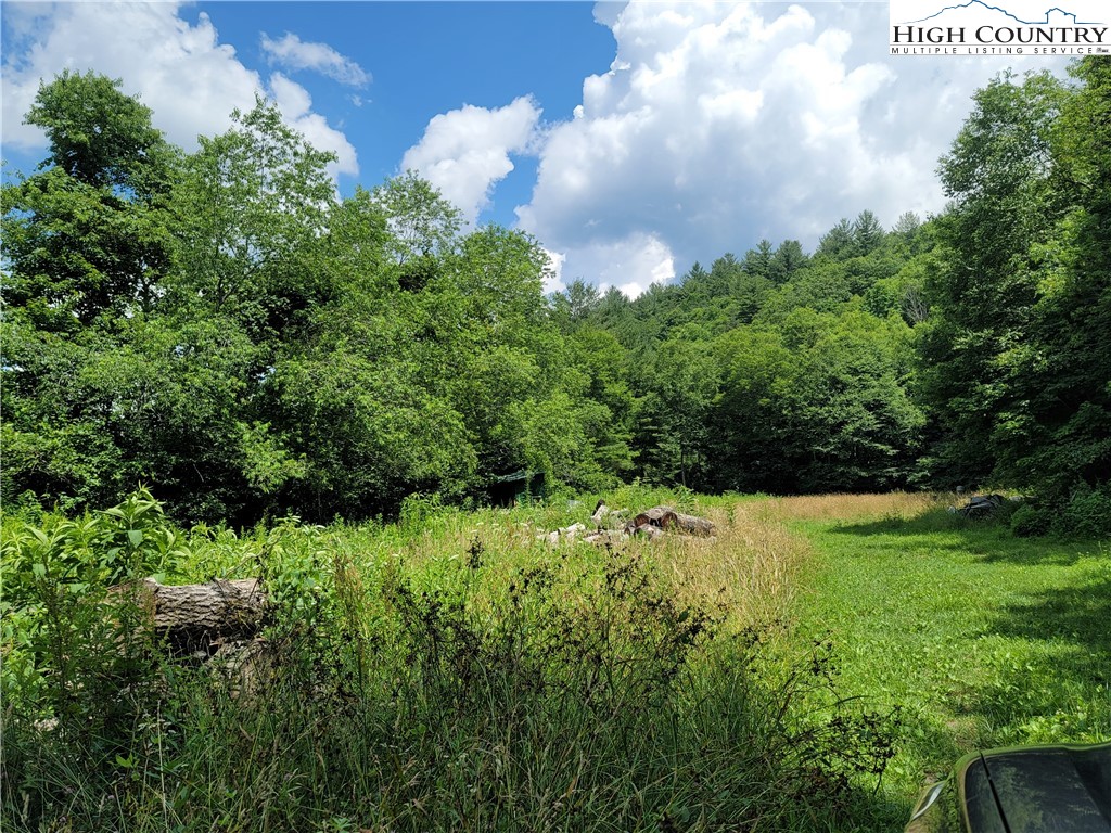 Nettle Knob Road West Jefferson, NC 28694 - Photo 12 of 15 Gallery Image 12