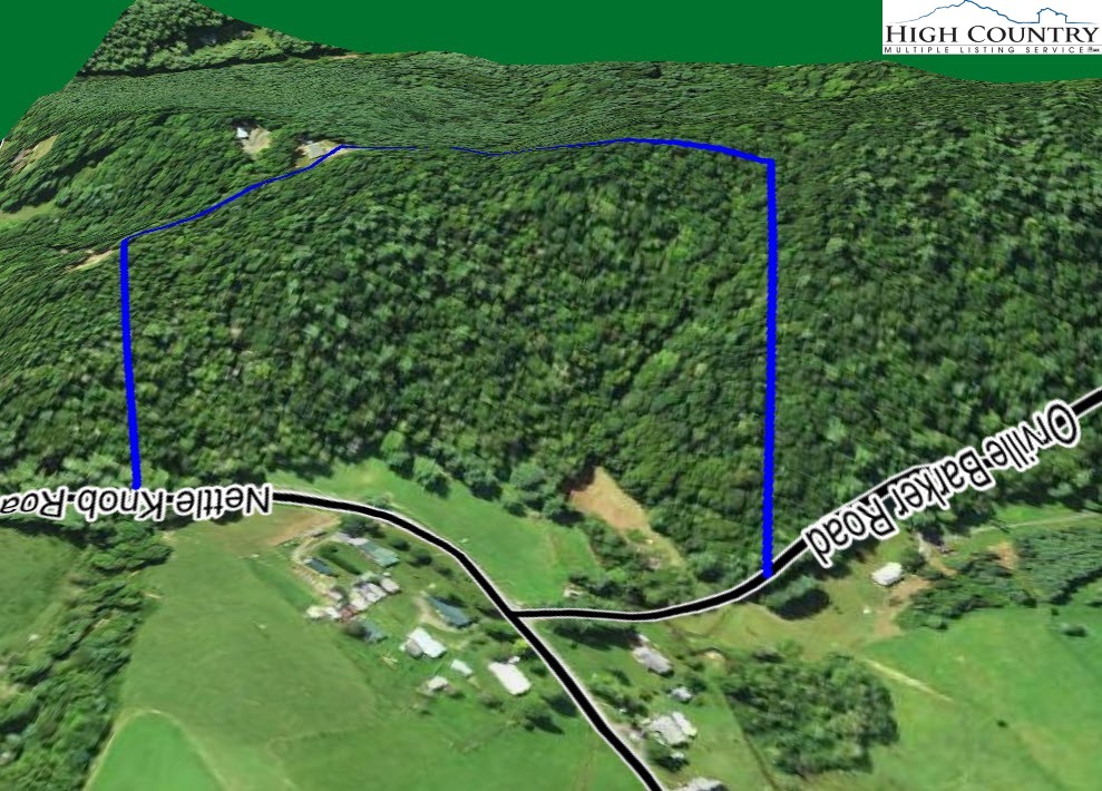 Nettle Knob Road West Jefferson, NC 28694 - Photo 14 of 15 Gallery Image 14