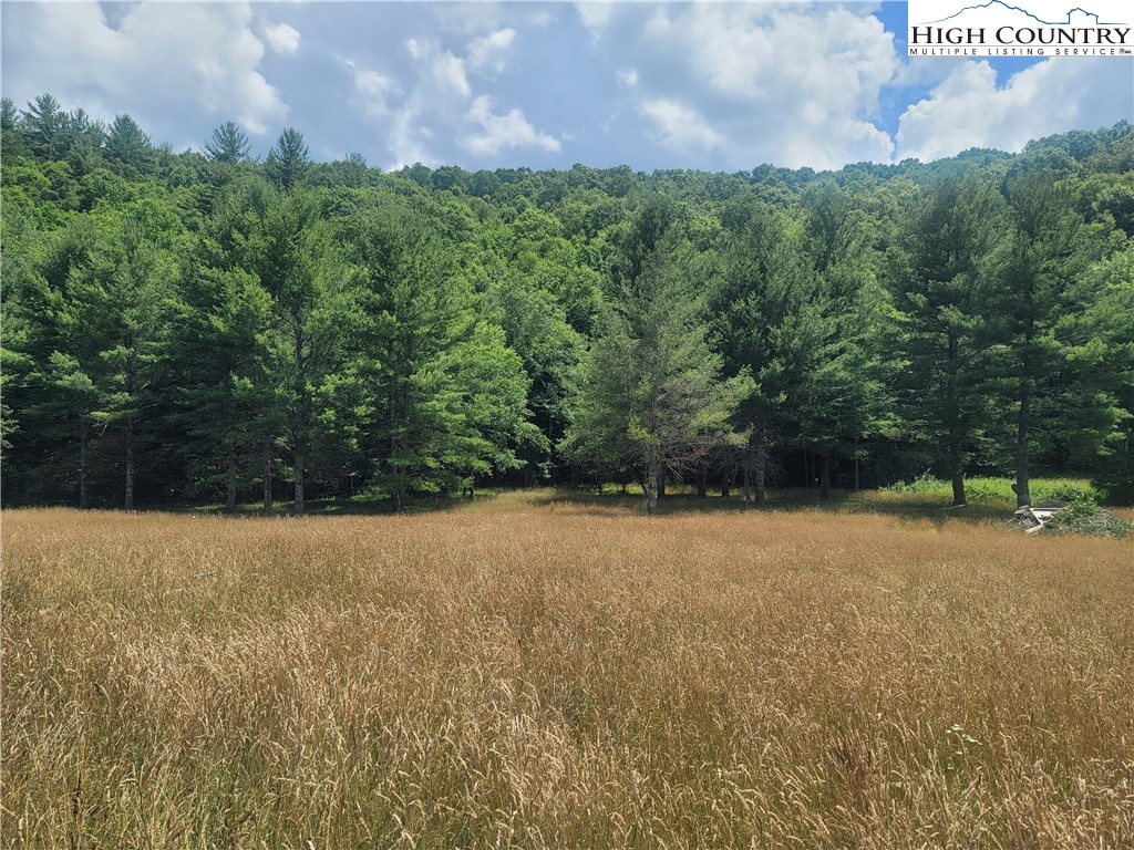Nettle Knob Road West Jefferson, NC 28694 - Photo 2 of 15 Gallery Image 2