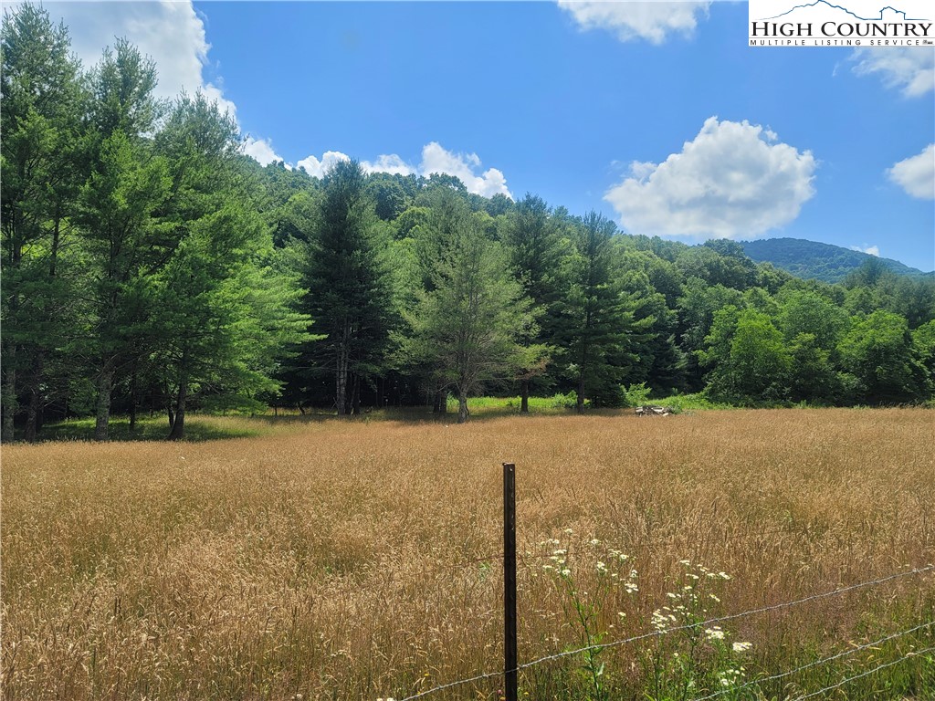 Nettle Knob Road West Jefferson, NC 28694 - Photo 3 of 15 Gallery Image 3