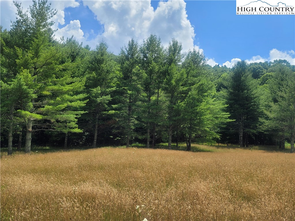 Nettle Knob Road West Jefferson, NC 28694 - Photo 4 of 15 Gallery Image 4