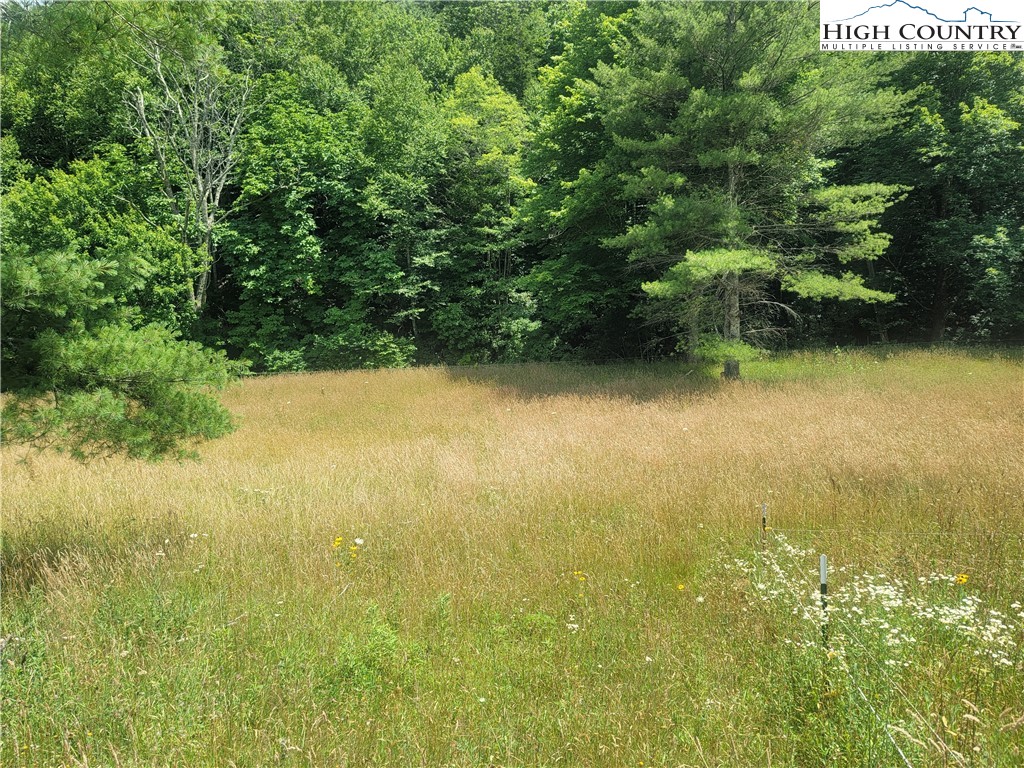 Nettle Knob Road West Jefferson, NC 28694 - Photo 5 of 15 Gallery Image 5