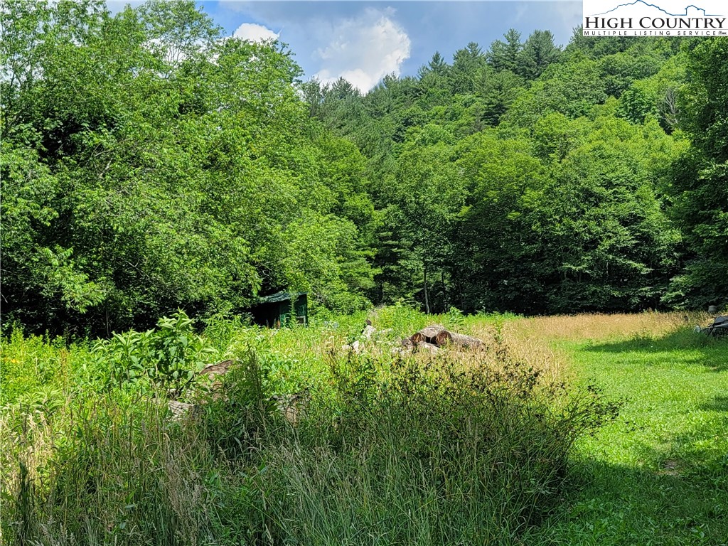 Nettle Knob Road West Jefferson, NC 28694 - Photo 8 of 15 Gallery Image 8