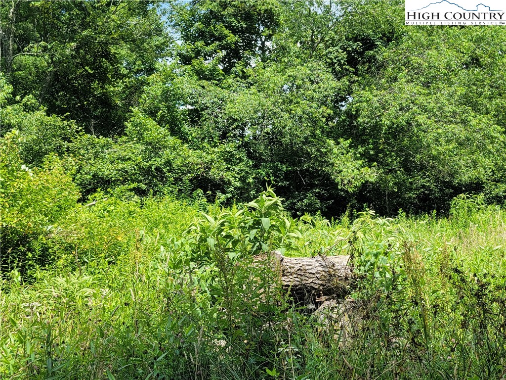 Nettle Knob Road West Jefferson, NC 28694 - Photo 10 of 15 Gallery Image 10