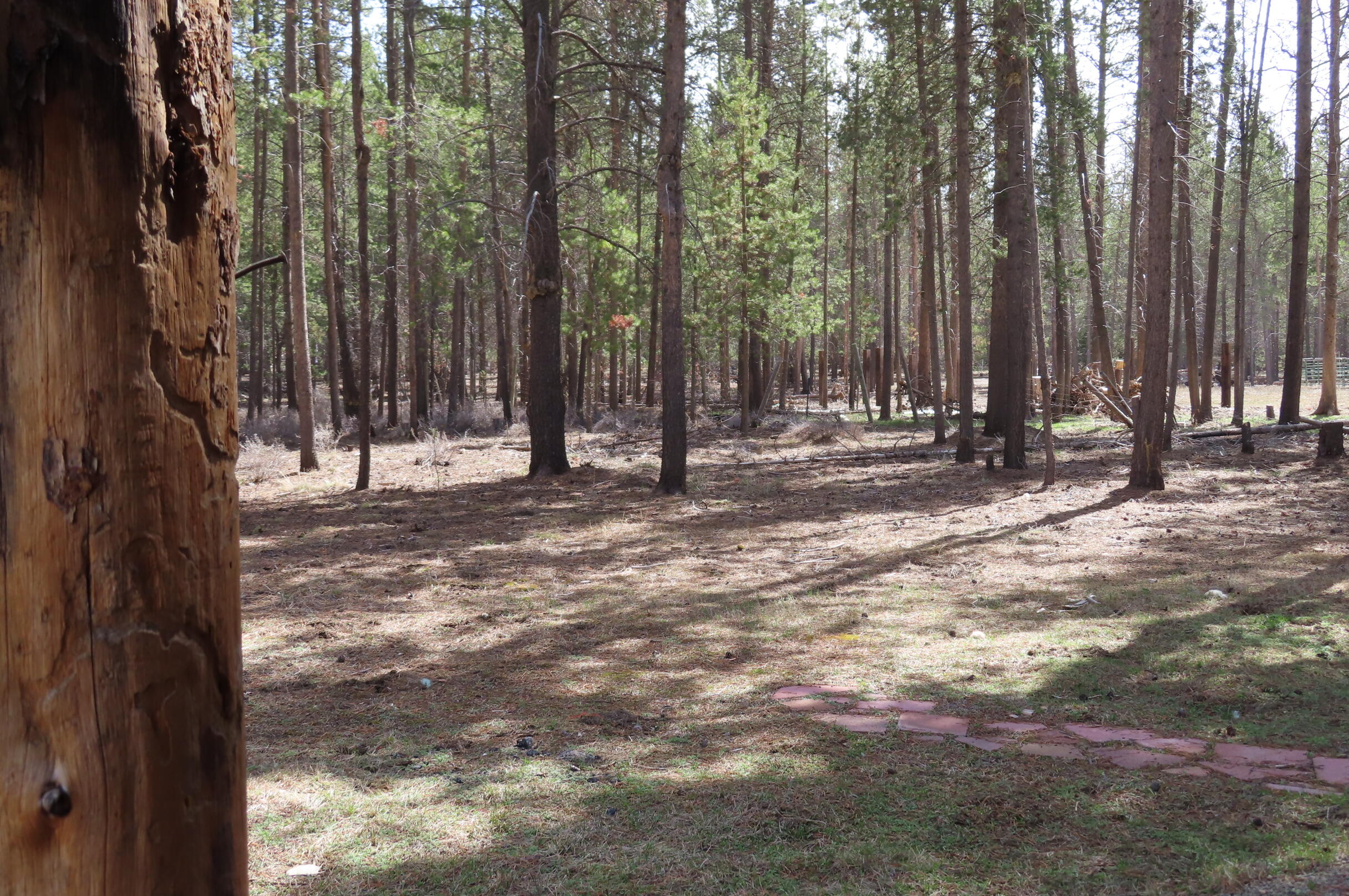 150045 Jerry Road La Pine, OR 97739 - Photo 37 of 39 View from the barn