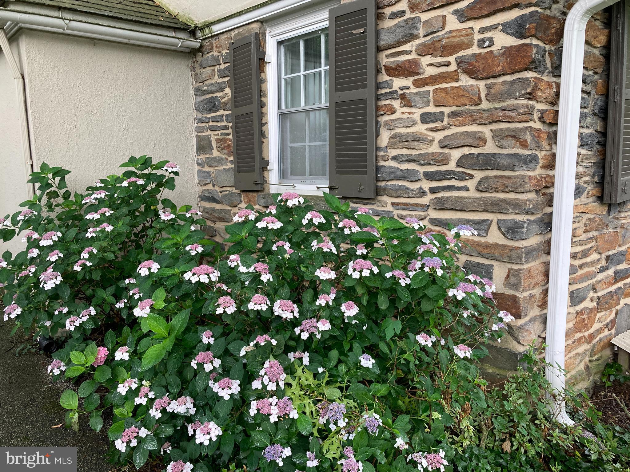 4305 Wendover Road Baltimore, MD 21212 - Photo 24 of 28 Gallery Image 24
