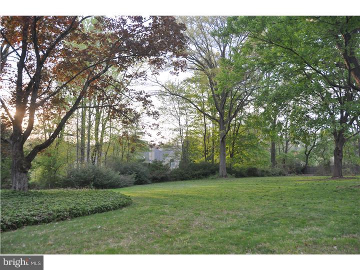 923 Spring Lane Devon, PA 19333 - Photo 22 of 25