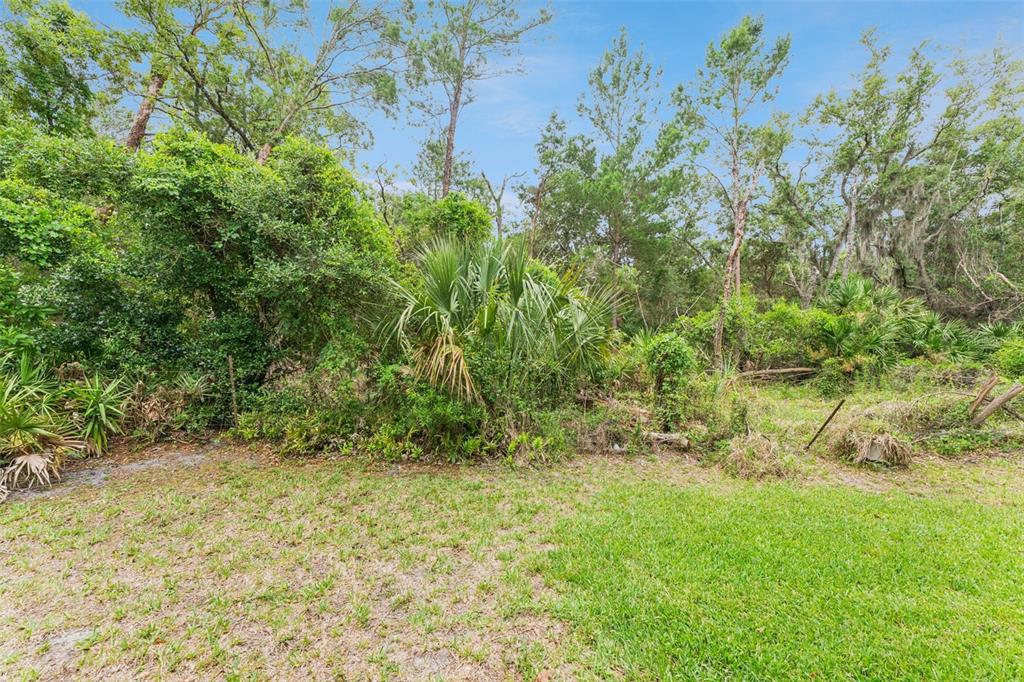 2830 Spring Heather Place Oviedo, FL 32766 - Photo 37 of 54