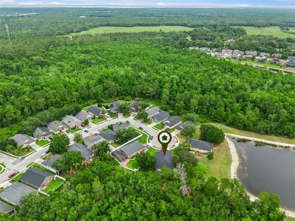 2830 Spring Heather Place Oviedo, FL 32766 - Photo 41 of 54