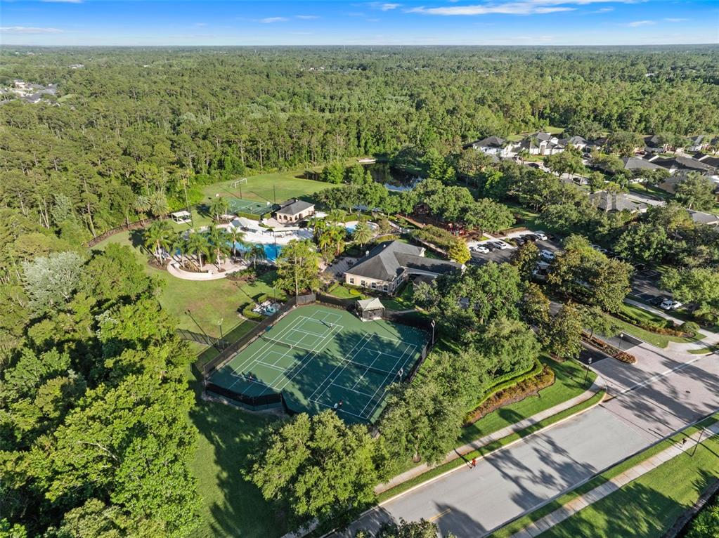 2830 Spring Heather Place Oviedo, FL 32766 - Photo 47 of 54