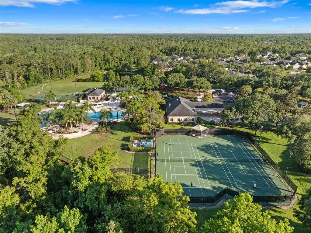 2830 Spring Heather Place Oviedo, FL 32766 - Photo 50 of 54