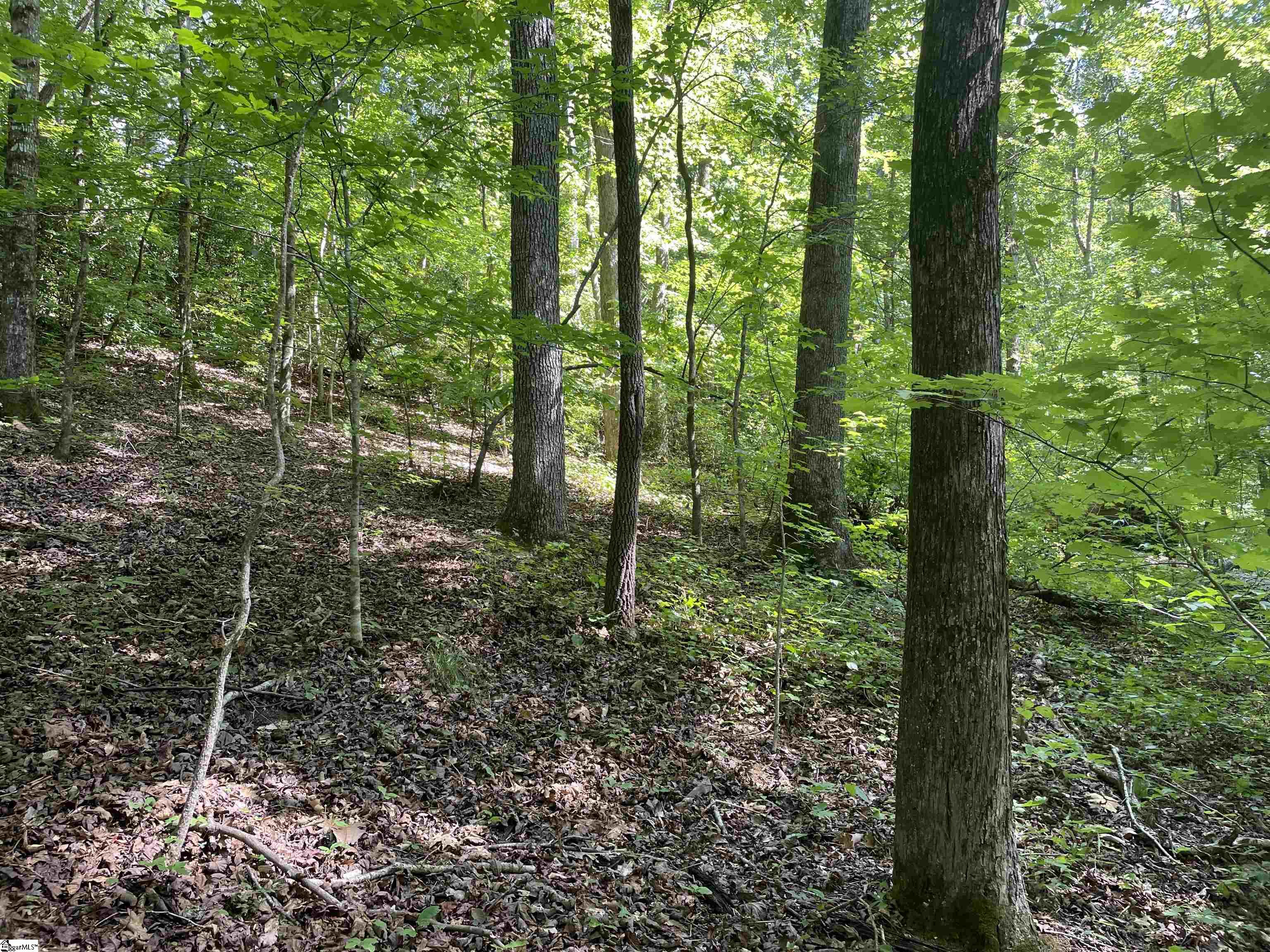 297 Woodall Mountain Road Pickens, SC 29671 - Photo 29 of 50 Gallery Image 29