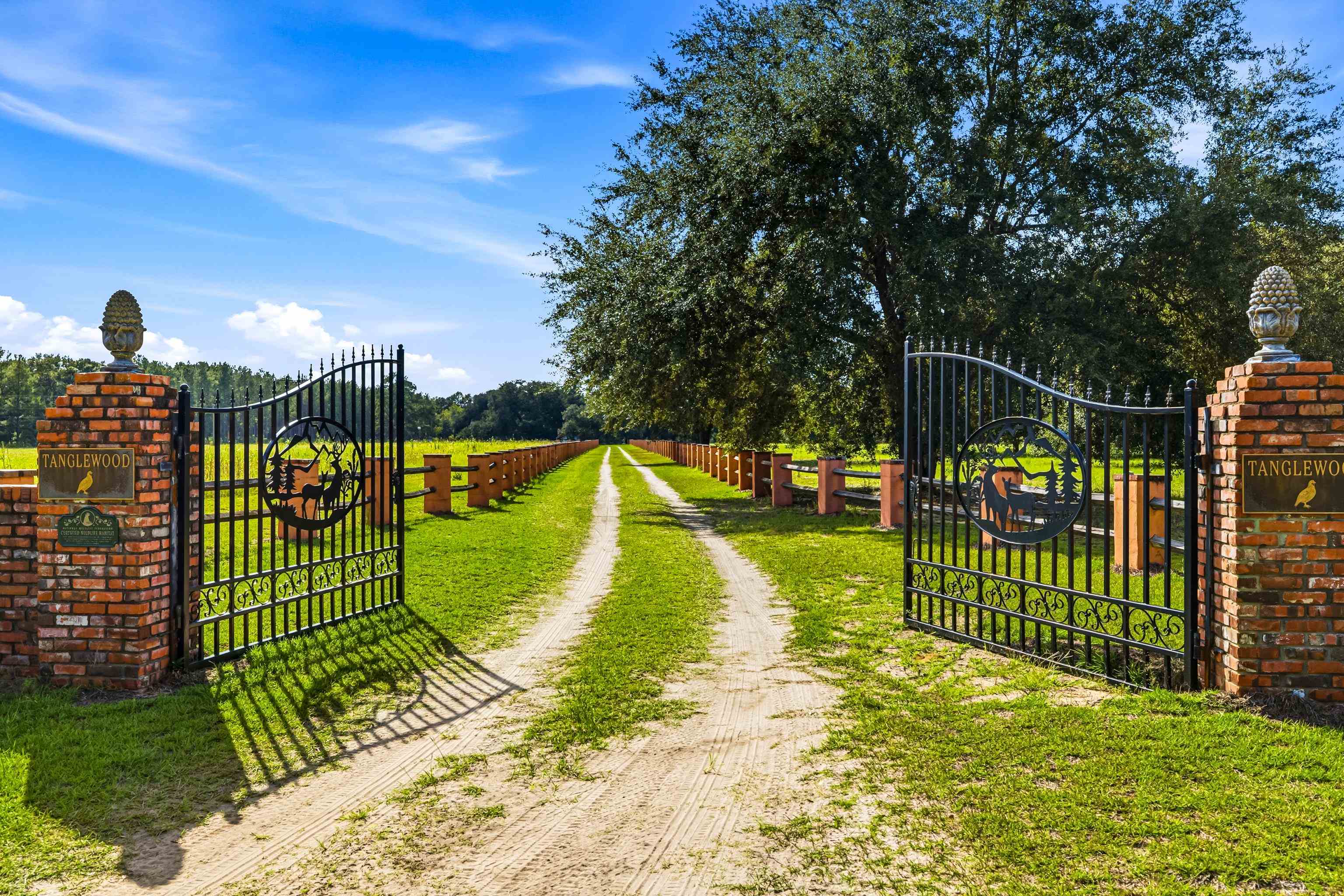 1569 Dave Plowden Pond Road Manning, SC 29102 - Photo 6 of 92 Gallery Image 6