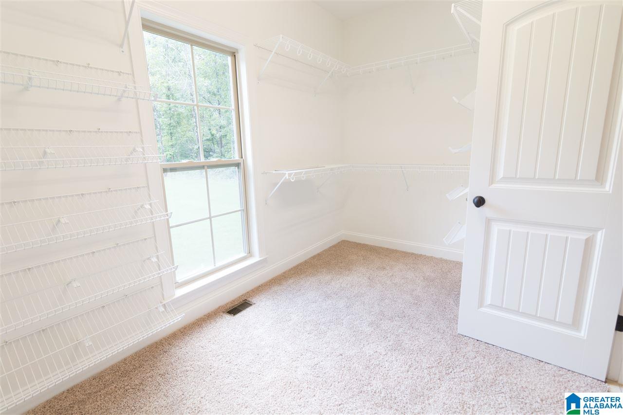 21305 Callie Circle McCalla, AL 35111 - Photo 29 of 50