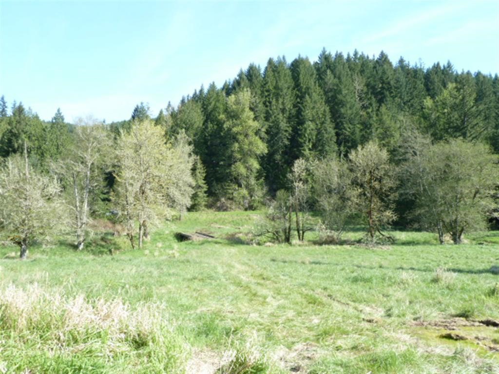 746 Proffitt Road Centralia, WA 98531 - Photo 1 of 12 Gallery Image 1
