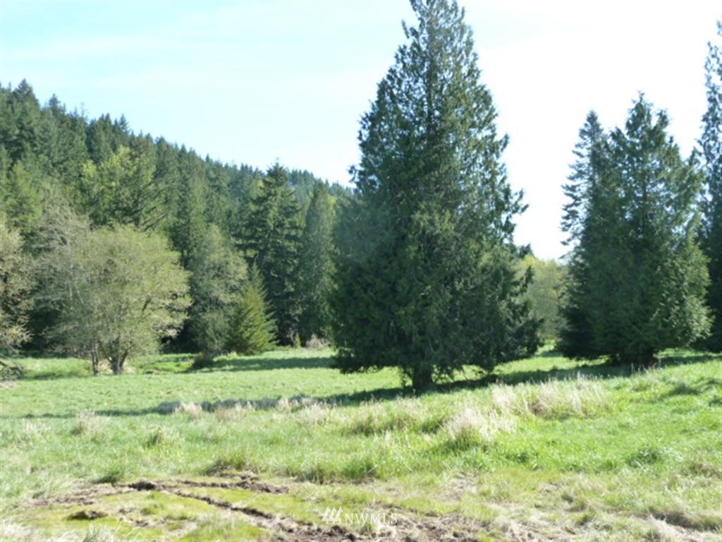746 Proffitt Road Centralia, WA 98531 - Photo 10 of 12 Gallery Image 10