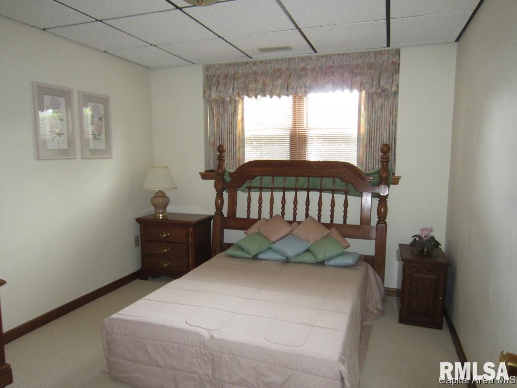 208 Walnut Valley Drive Springfield, IL 62707 - Photo 11 of 22