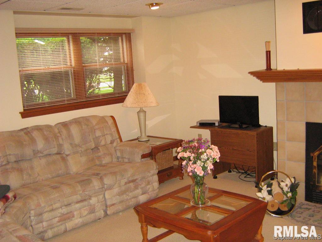 208 Walnut Valley Drive Springfield, IL 62707 - Photo 14 of 22