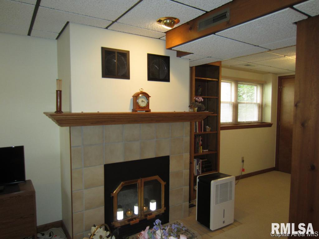 208 Walnut Valley Drive Springfield, IL 62707 - Photo 17 of 22