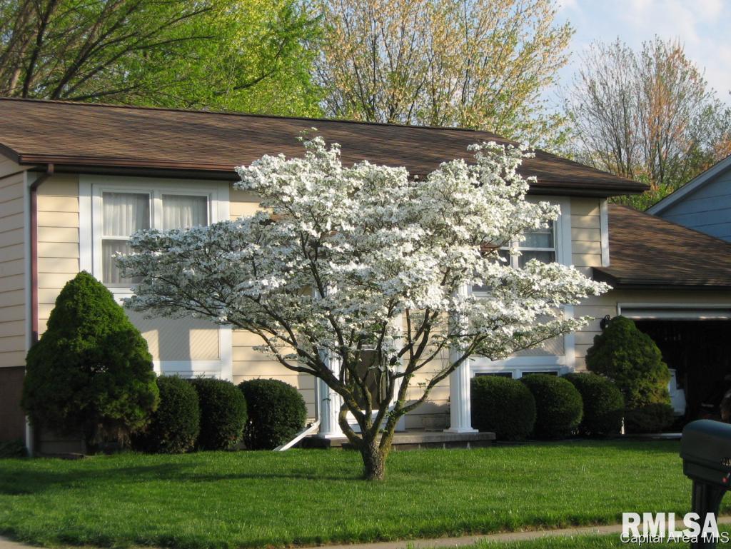 208 Walnut Valley Drive Springfield, IL 62707 - Photo 3 of 22