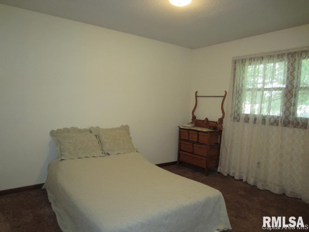 208 Walnut Valley Drive Springfield, IL 62707 - Photo 10 of 22