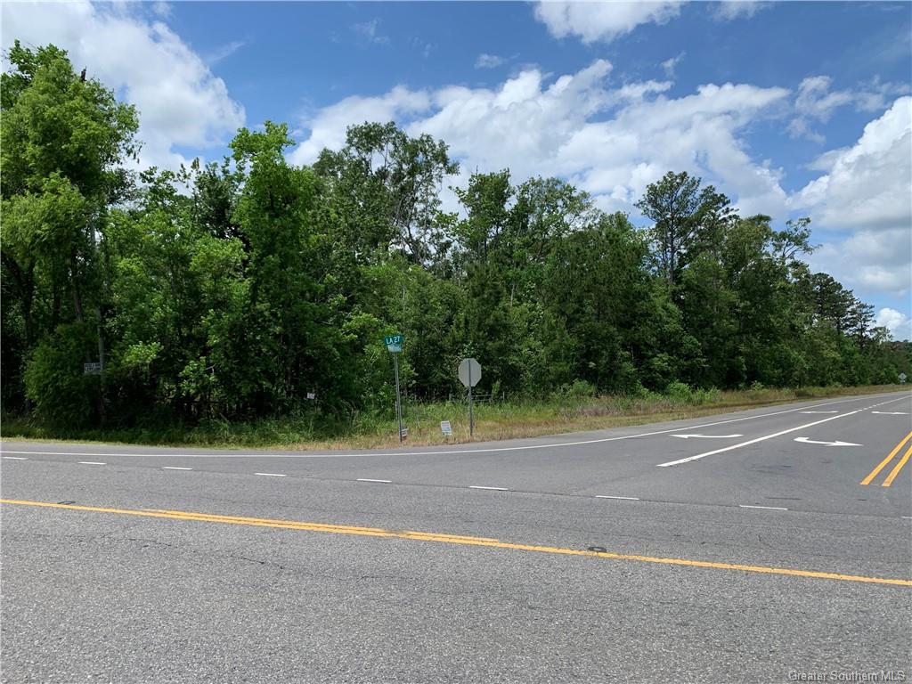 0 Pine Forest Road Dequincy, LA 70633 - Photo 4 of 5