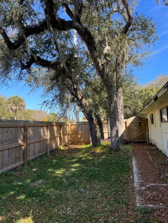 a view of a backyard with large tree