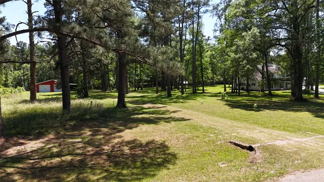 a view of a park with large trees