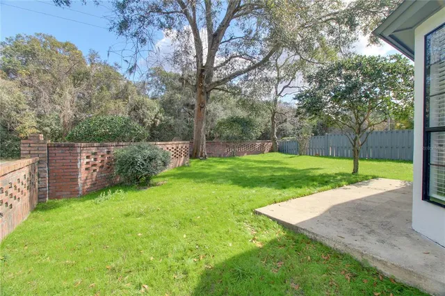 a view of a park with large trees